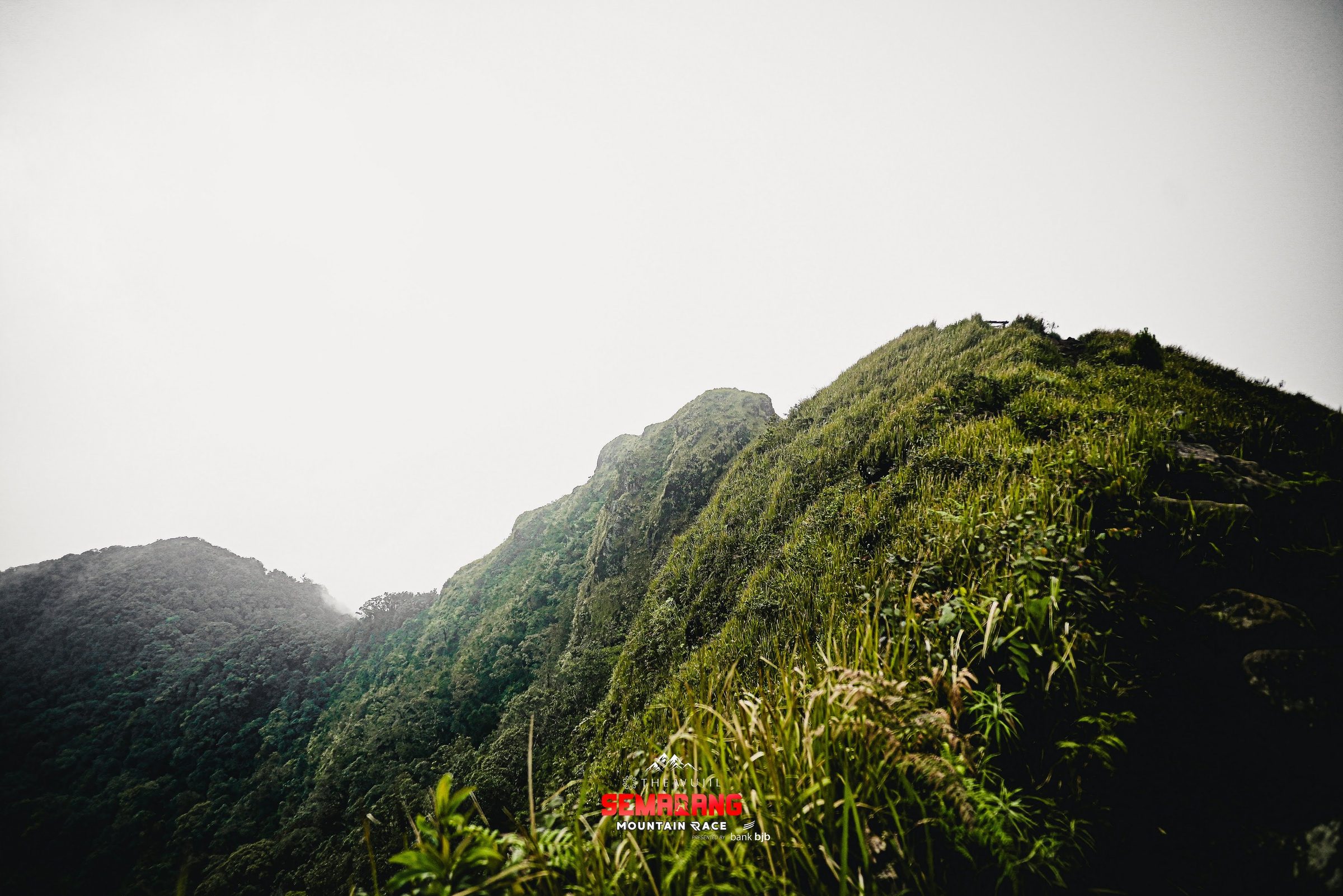 Punggungan gunung berkabut dengan vegetasi hijau lebat, lokasi lintasan Semarang Mountain Race
